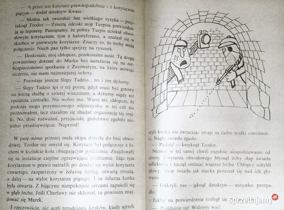 Niewiarygodne przygody Marka Piegusa Edmund Pozostałe lubelskie