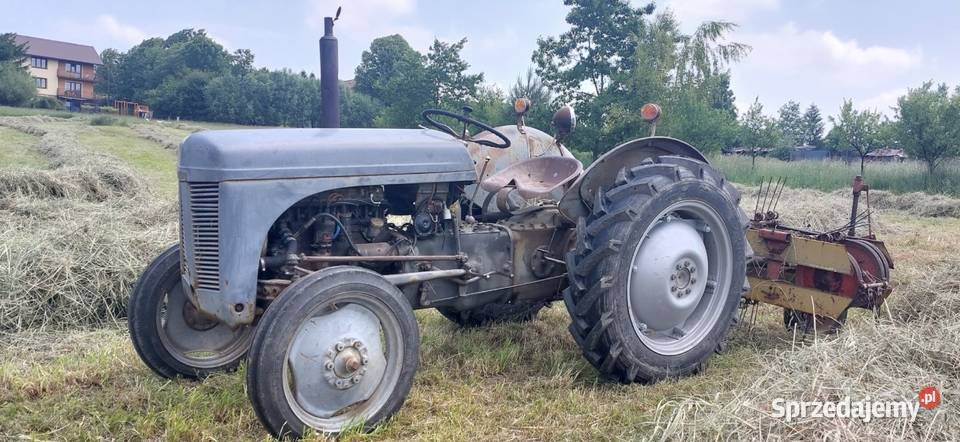 Ferguson tea 20 Limanowa