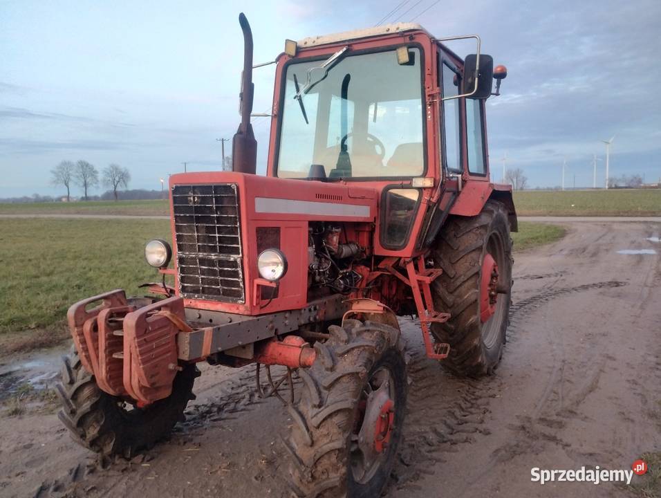 MTZ 82 Rusek Półbiegi pod obciążeniem Damasławek