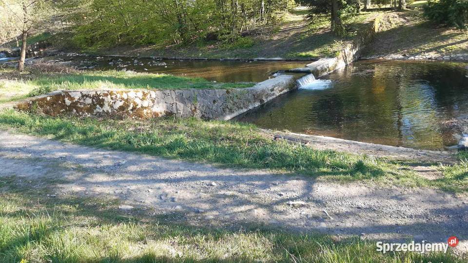 Działka rekreacyjna rzeką Porąbka łącznie 29 ar śląskie
