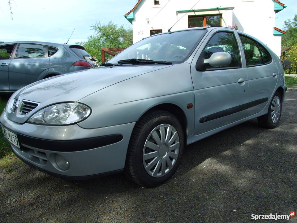 Renault Megane 19 dCi 2001 pierwsza rejestracja Hatchback Lądek-Zdrój