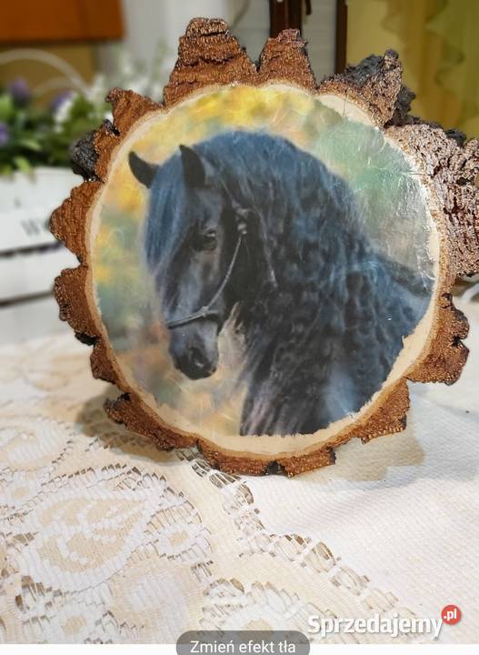 Obrazki miłośników koni Dobrzechów