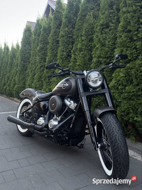 HarleyDavidson Softail Slim FLSL 2018r M8 pas napędowy Lublin