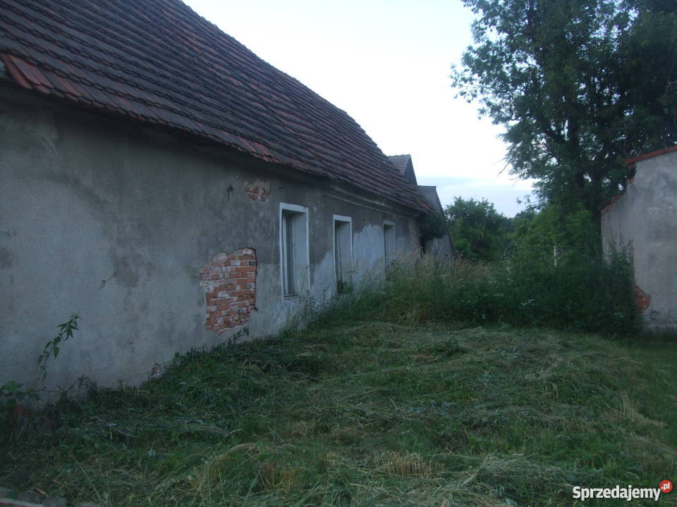 Dom działka 29 arów 2900m2 Grunty i działki
