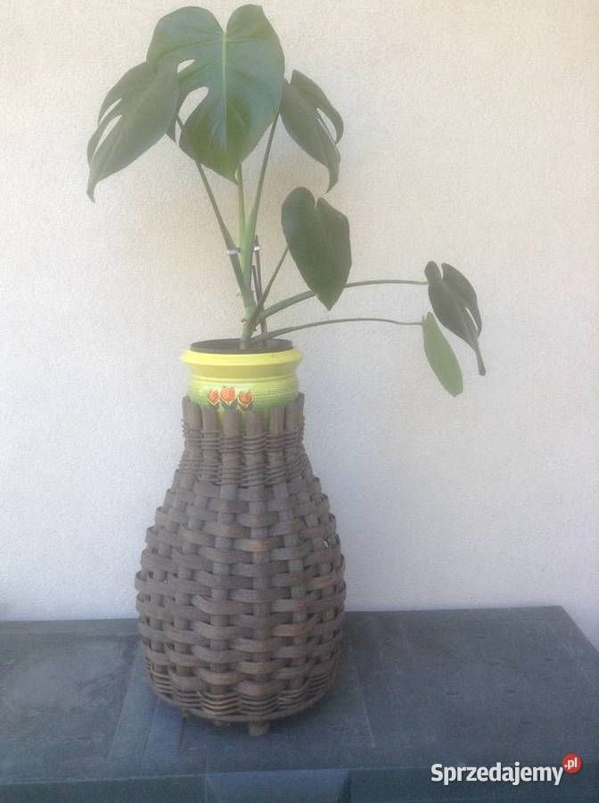 Kosz rattanowy jako kwietnik opolskie