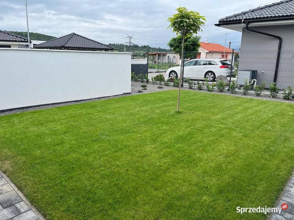 Usługi Ogrodnicze Wertykulacja wycinki drzew Bielsko-Biała