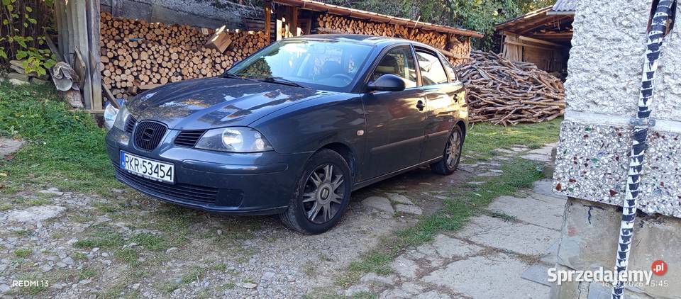 Seat Ibiza 2005r 510000 nieuszkodzony Głębokie