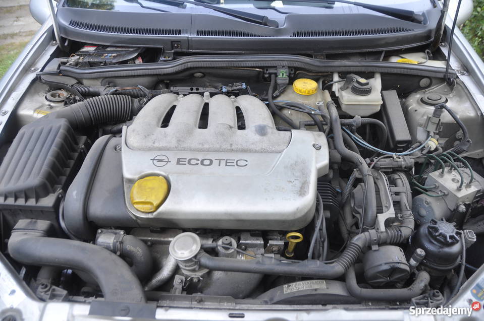 Opel Tigra 14 16V 2000r immobilizer Opel wielkopolskie