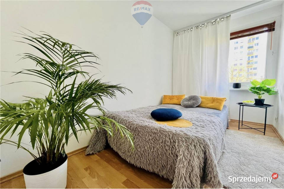 Komfortowe 3 pokoje do wynajęcia wielka płyta Zielona Góra