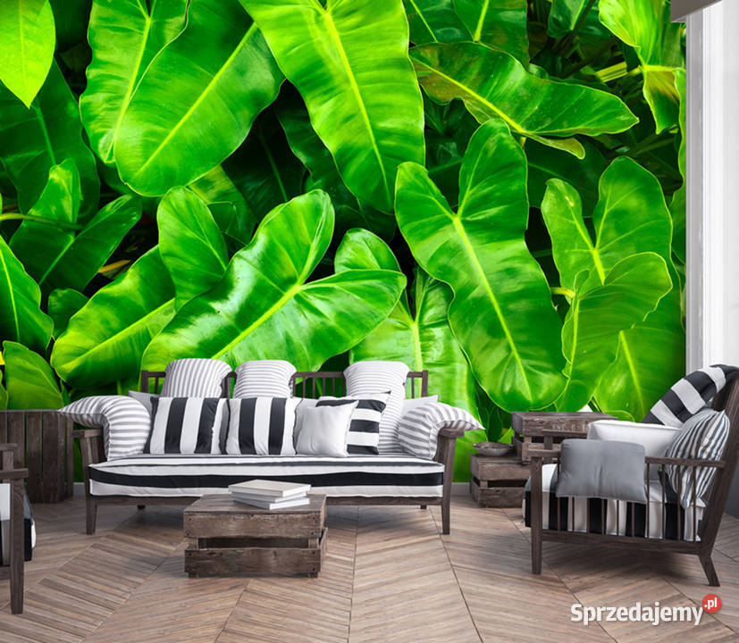 Tapeta fototapeta Liście 3D 12371VE wielkopolskie Leszno