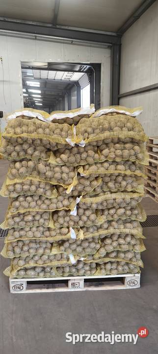 Paletyzator Verbruggen VPM5 Paletyzer Układanie Produkcja Ostrów Wielkopolski