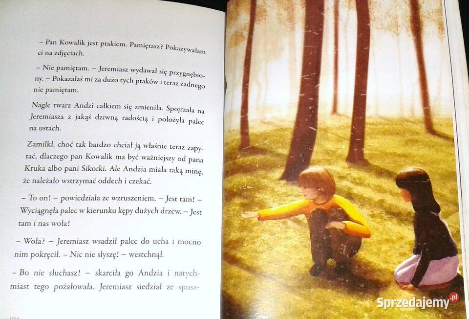 Dziewczynka z parku Barbara Kosmowska Rok wydania 2012 Chełm sprzedam