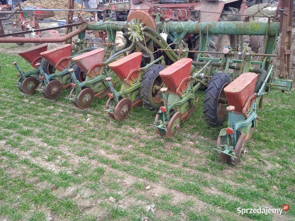 Siewnik do kukurydzy 6 rzędowy Nodet Pneumasem 2 łódzkie