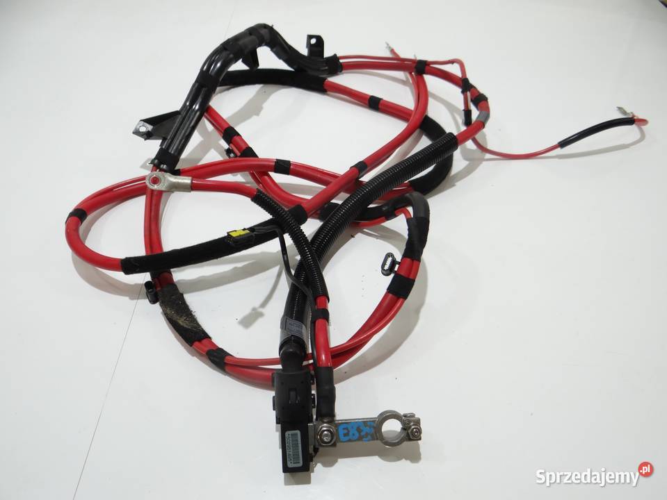 KLEMA PLUSOWA PIROTECHNICZNA BMW X3 E83 LCI lubelskie Strzyżewice