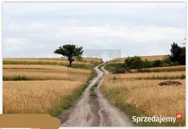 Dworek Wólka Leszczańska z XVIII wieku sprzedam