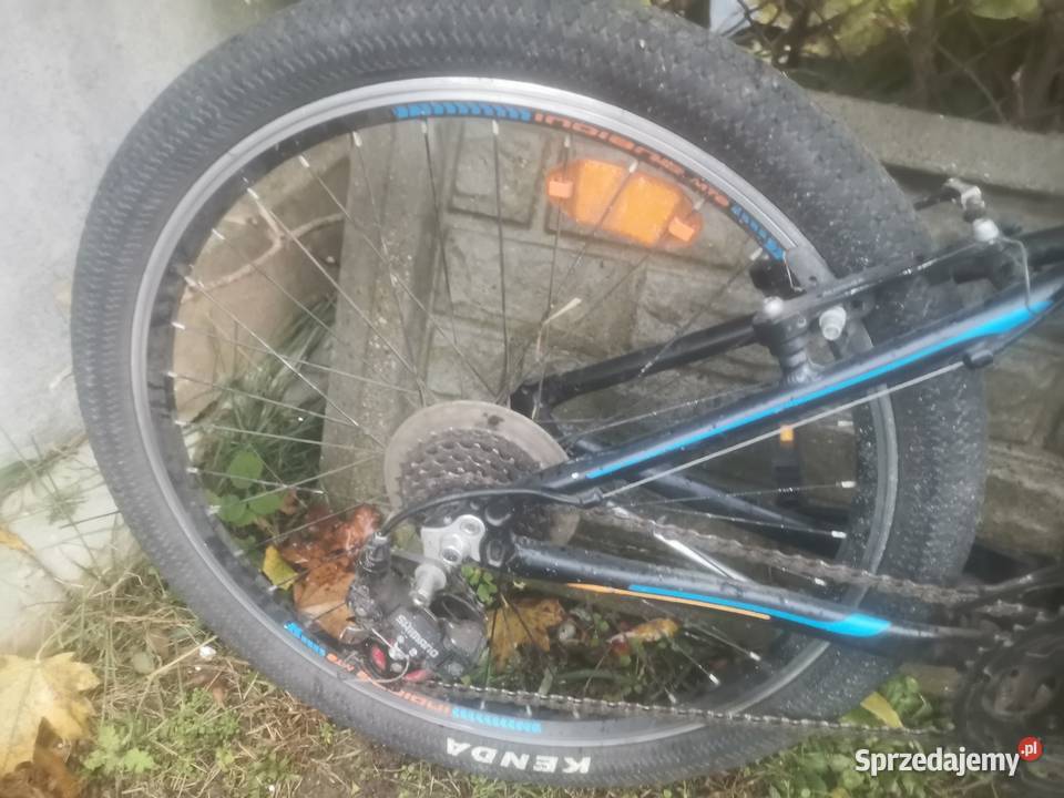 Rower młodzieżowy Indiana 24 Chełmno