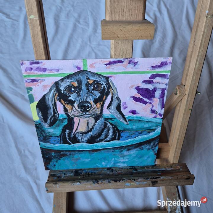 Obraz jamnik jamniczek artysty na prezent na Brzesko sprzedam