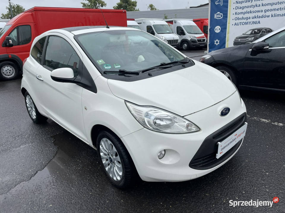 Ford KA Ford KA 12 Champions Edition Klima serwisowany w ASO Syców