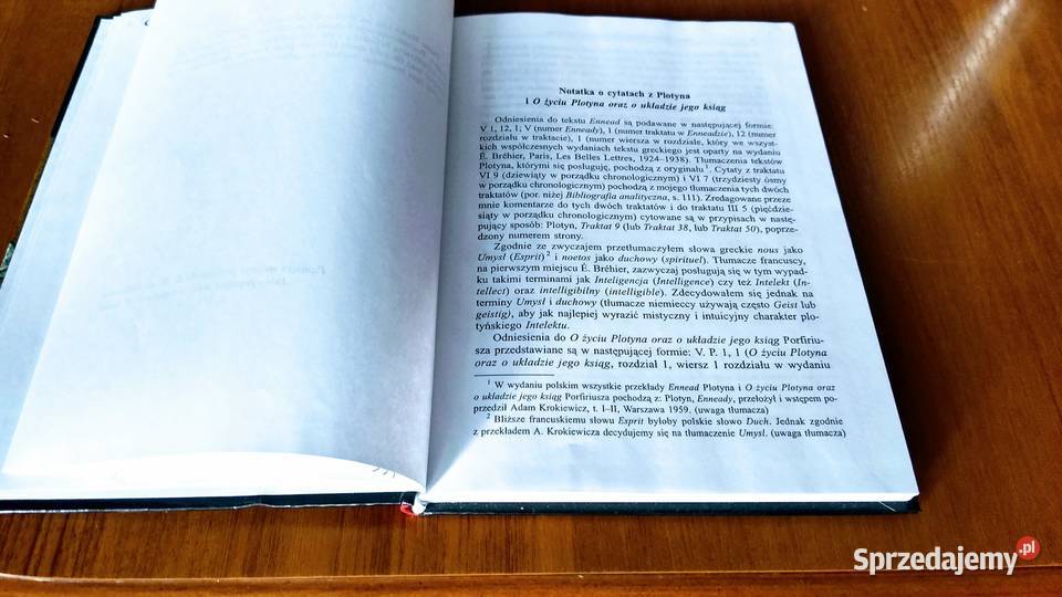 Plotyn albo Prostota spojrzenia Pierre Hadot Gdańsk
