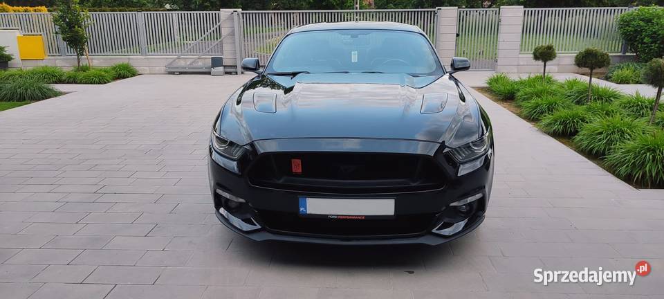 Ford Mustang Ford Mustang 50 V8 GT I właściciel Marki