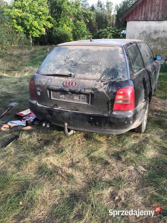 Sprzedam gruza audi a4 b5 na dzisiaj Rytel sprzedam