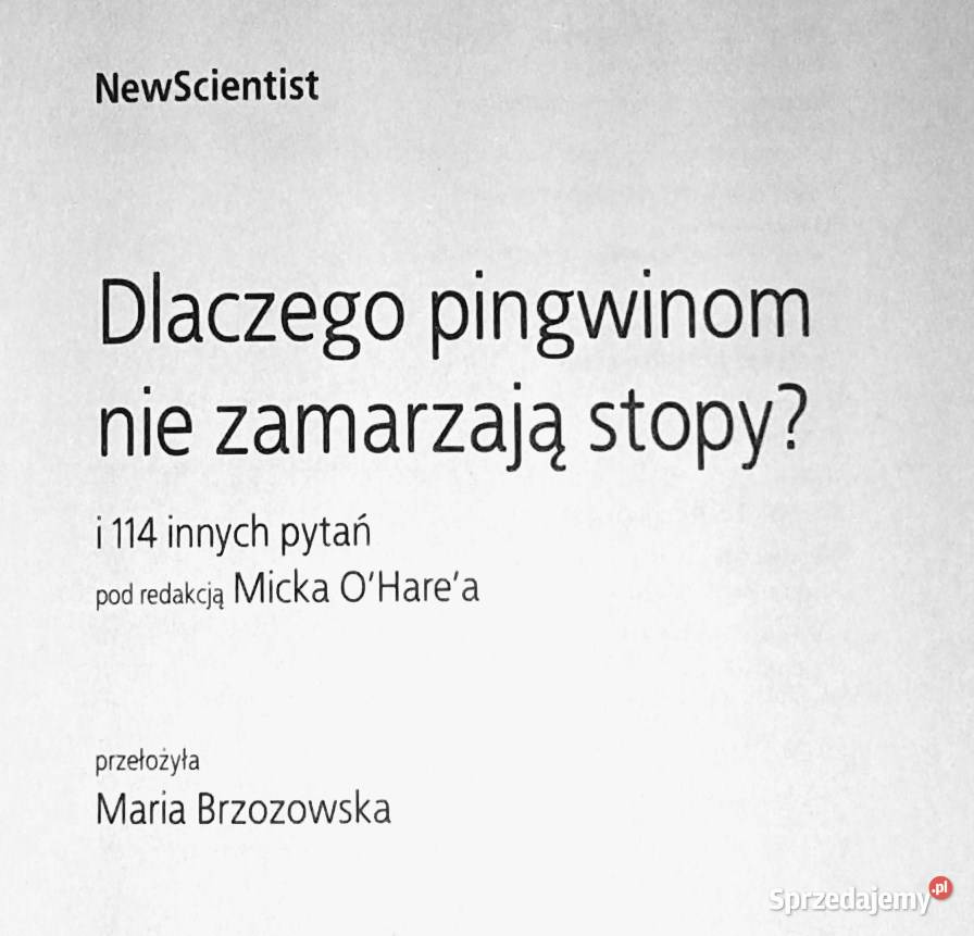 Dlaczego pingwinom nie zamarzają stopy I 114 lubelskie Chełm