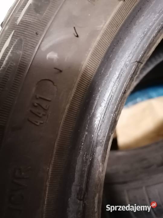Opony letnie Dębica presto HP dot 4421 bierznik Piaseczno