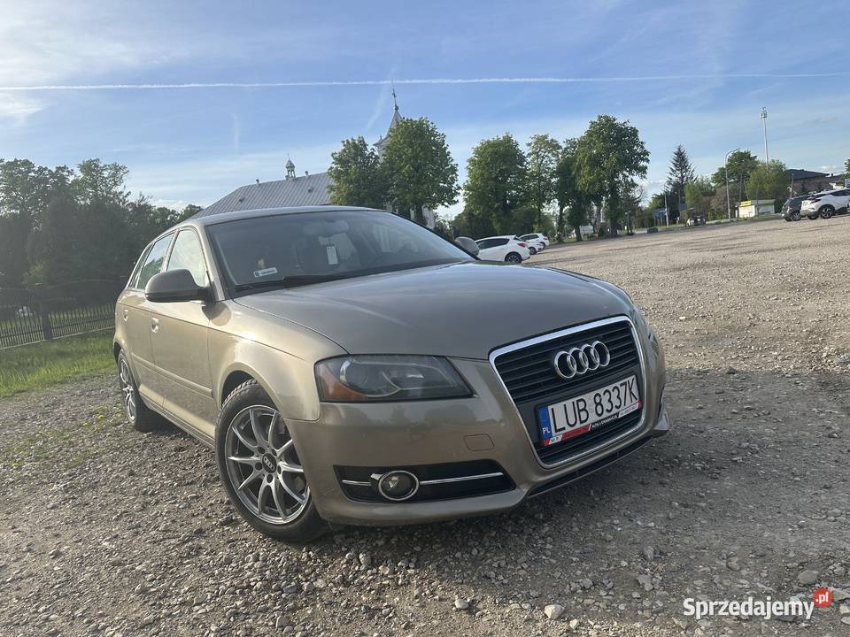 Audi a3 8P 19 TDI Prażmów
