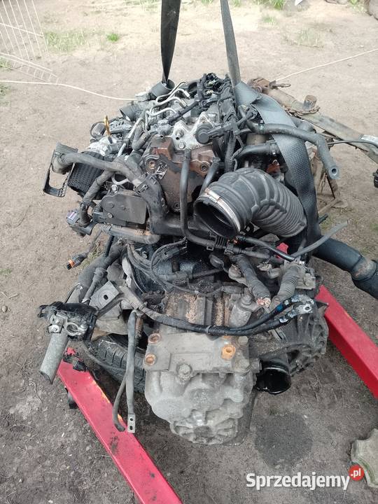 HYUNDAIKIA20 CRDISILNIK dawca czesci2011 Pozostałe Jastrzębia Góra
