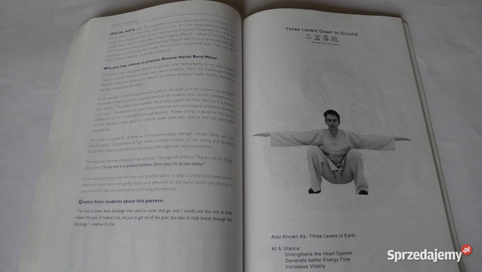 SANTER Shaolin Chi Kung 18 Exercises RARE Luohan Radom