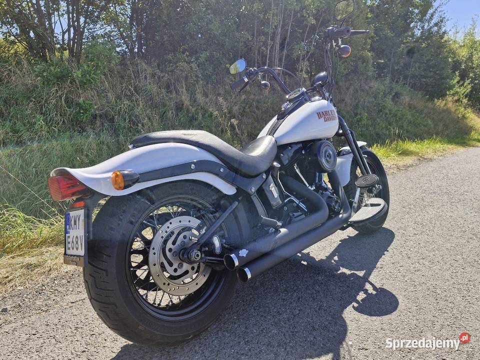 Harley Davidson Softail Cross Bones Myślenice