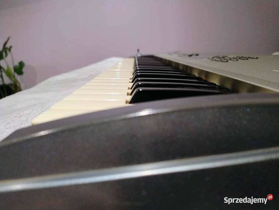 KORG N364 Instrumenty klawiszowe i MIDI Głusiec