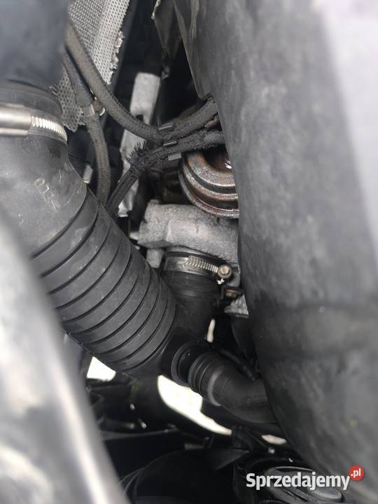 Passat B5 na części w całości Kombi lubelskie Lublin