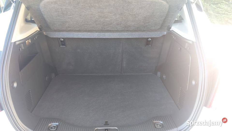 Opol mokka Nakło nad Notecią sprzedam