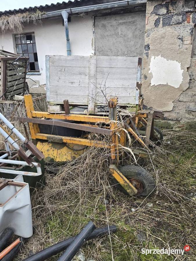 Obcinac do naci cebuli burakow rzepy itd Nysa