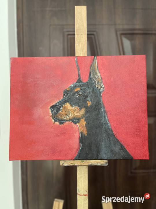 Obraz olejny Doberman 30x40 ręcznie malowany Malarstwo Świebodzin sprzedam