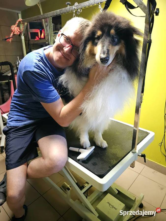 Salon groomerski psi fryzjer kąpiel strzyżenie mazowieckie