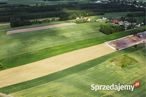 Teren inwestycyjny 9538 m2 z WZ Borki Jędrzejów sprzedam