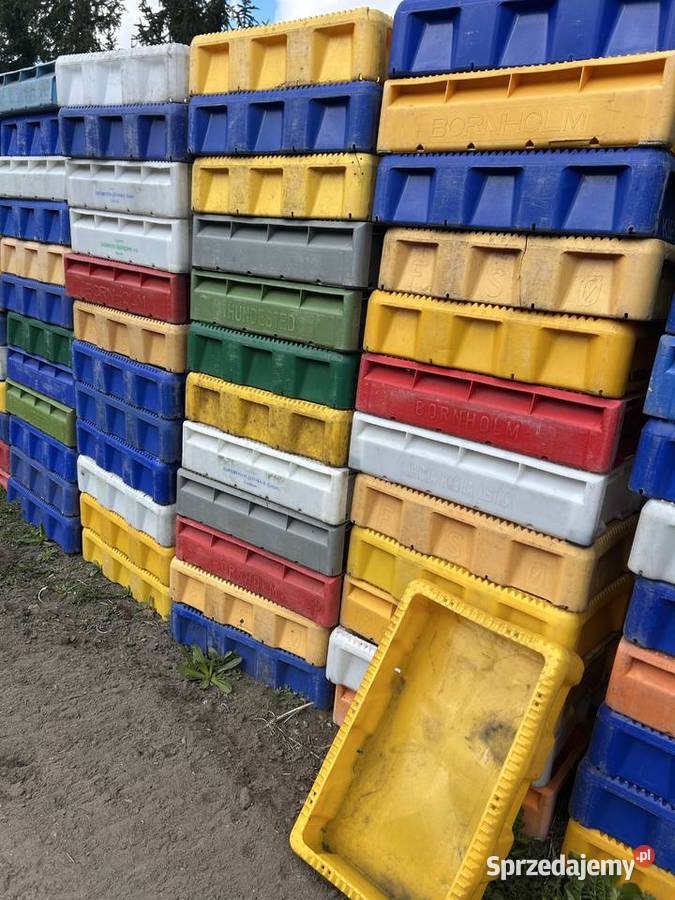 Skrzynie na ryby Bornholm Hundested