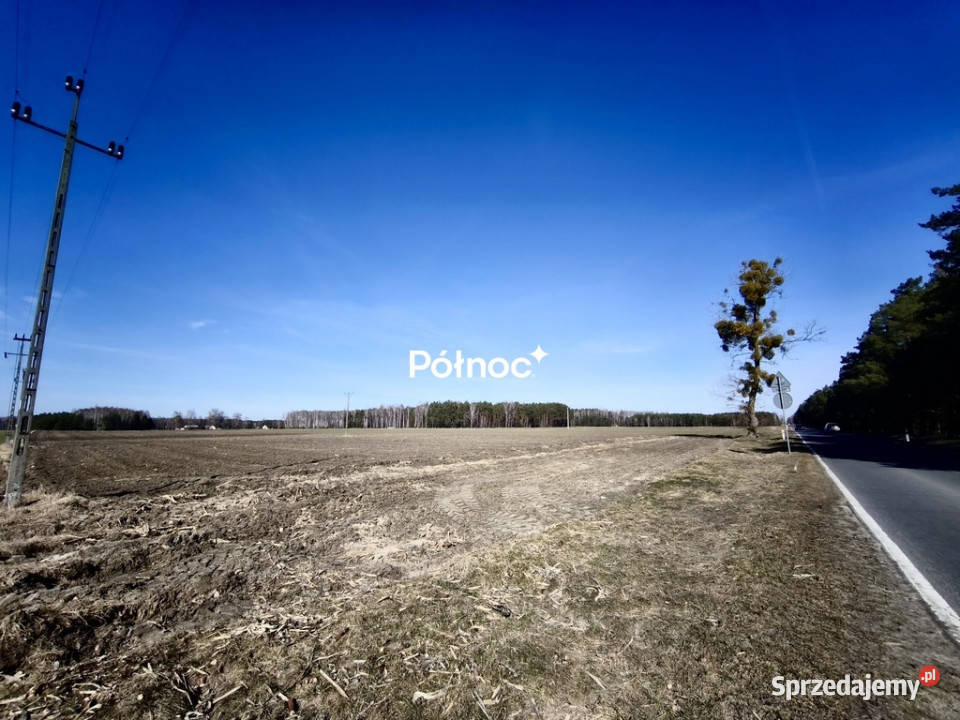 Działki budowlane Elżbiecin gmina Kodeń sprzedam