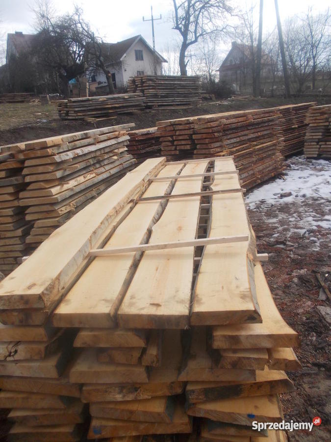 TARCICA MODRZEWIOWA ZAKOPANE MAŁOPOLSKA 53095506 Zakopane
