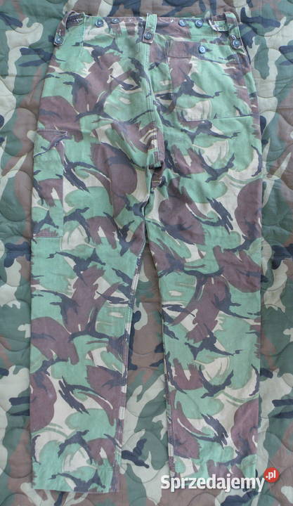 Spodnie DPM temperate 8284106 dolnośląskie Wrocław