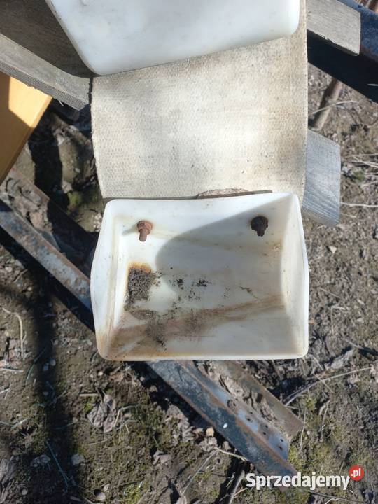 Taśma podajnik kubełkowy Taśmociągi i podajniki Izdebno-Kolonia