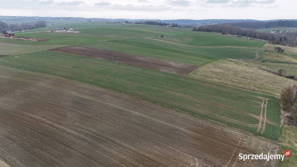 Piękna działkaMinoga Sprzedaż