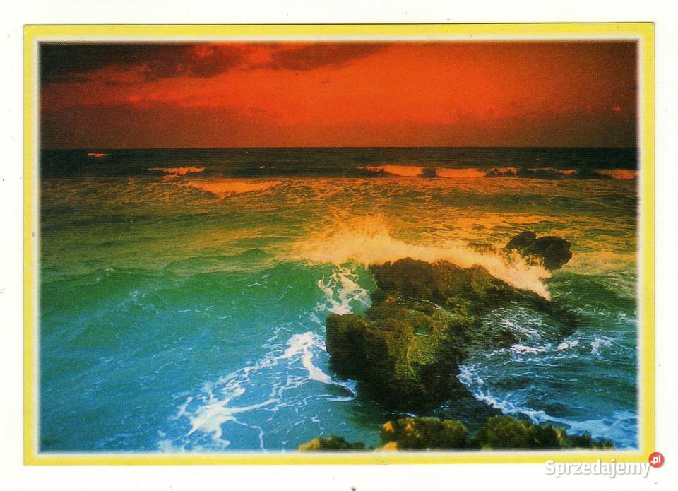 MORZE BAŁTYCKIE świętokrzyskie Krynki