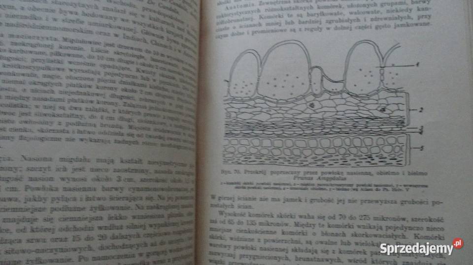 Zarys farmakognozjiSurowce o budowie