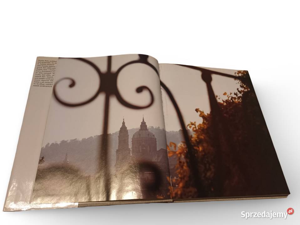 Ji Doleal Ivan Doleal Praha Prag Prague Praga Kultura i Rozrywka małopolskie Kraków