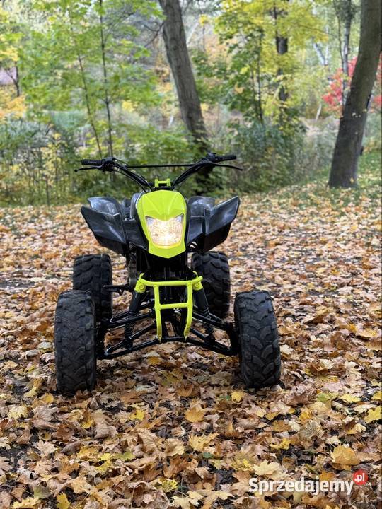 Quad Bashan 200 Loncin barrosa gruz 250 nieuszkodzony opolskie Opole