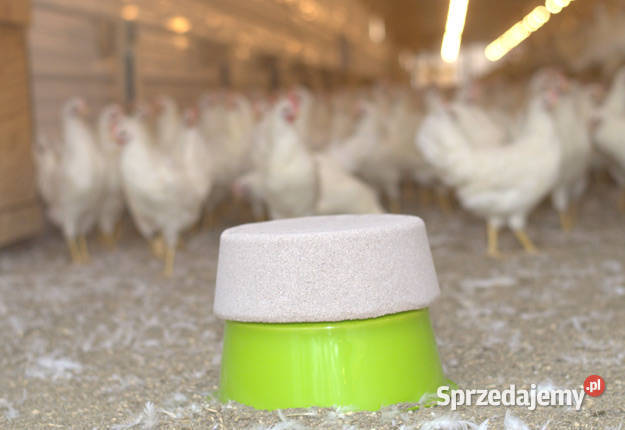 Dziobak kur drobiu indyków przeciw kanibalizmowi Strzelce Wielkie