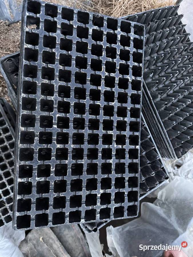 Tacki do rozsady Obsza